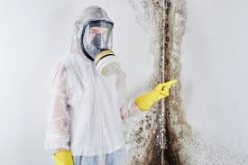 Best Mold Damage Restoration  in USA